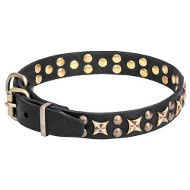 Leather Dog Collar with Old-Fashioned Stars and Studs