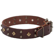 'Egypt Treasure' Leather Dog Collar