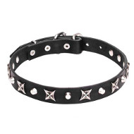 Leather Dog Collar with Shiny Nickel Plated Stars and Pyramids