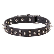 Leather Dog Collar with Chrome Plated Hardware