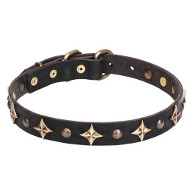 Leather Dog Collar with Old Bronze-plated Half-ball Studs and Stars
