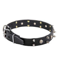 Leather Dog Collar with Skulls and 2 Rows of Spikes