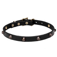 'Age of Style' Leather Dog Collar with Brass Plated Cones
