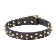Leather Dog Collar with Brass Stars and Spikes
