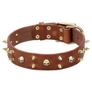 Natural Leather Dog Collar with Brass Spikes and Skulls
