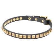 Narrow Leather Dog Collar with Brass Studs