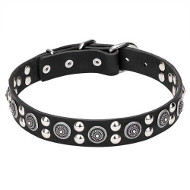 'Galactic Style' Dog Collar with Silver-like Circles and Round Studs