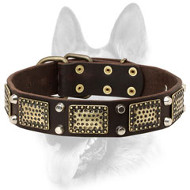 Stylish Dog Leather Collar with Brass-Covered Decorations