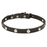 Leather Dog Collar with Half-Ball Chrome Plated Studs