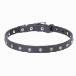 Leather Dog Collar with Nickel Plated Stars