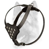 Durable Studded Genuine Leather Puppy Harness
