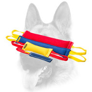 Fascinating Dog Set of Bite Tugs Made of French Linen