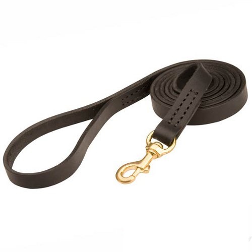 Leather Dog Leash Properly Stitched in Major Locations