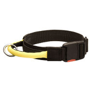 Reliable Nylon Dog Collar For Schutzhund Training