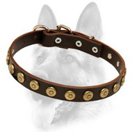 Special Gorgeous Leather Dog Collar With Dotted Circles
