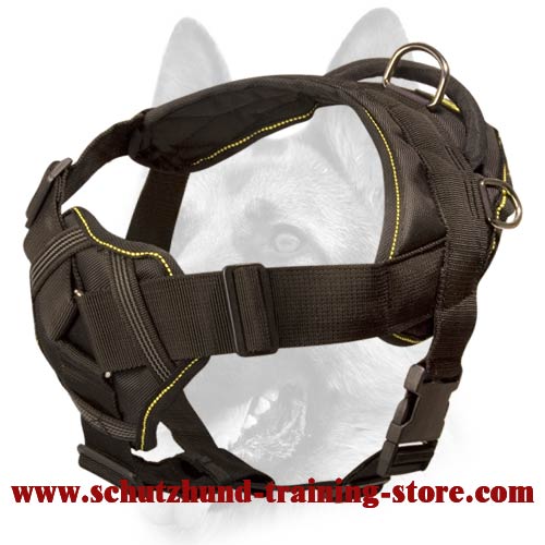 elite k9 equipment