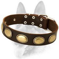 High Quality Gorgeous Vintage Dog Leather Collar