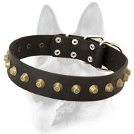 Gorgeous Wide Leather Pyramid Studded Dog Collar for All Dog Breeds