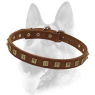 Decorated Leather Studded Dog Collar