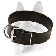 Dependable Leather Dog Collar-Classic Schutzhund Dog Breeds Collar