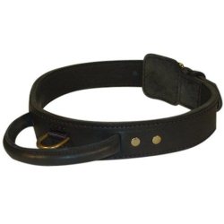 sporting dog collars