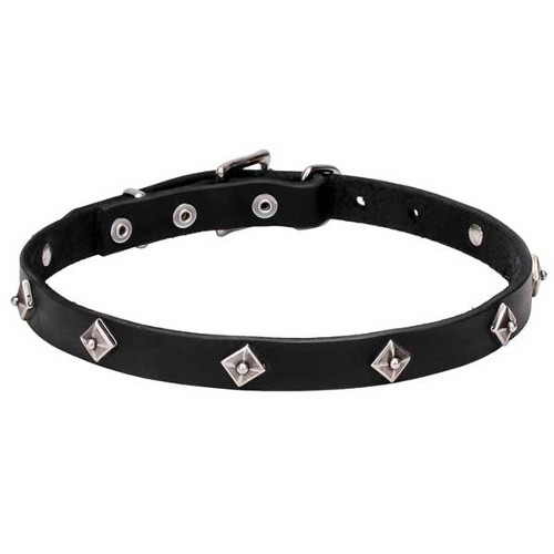 Leather dog collar with studs