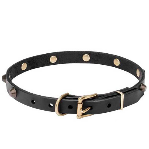 Comfortable dog collar for walking