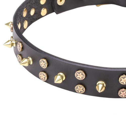 Designer strong leather dog collar with reliably fixed decorations