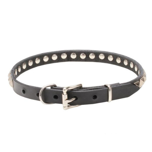 Excellent quality durable leather dog collar with chrome-covered fittings