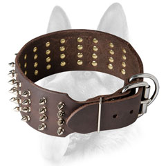 Securely riveted Dog collar