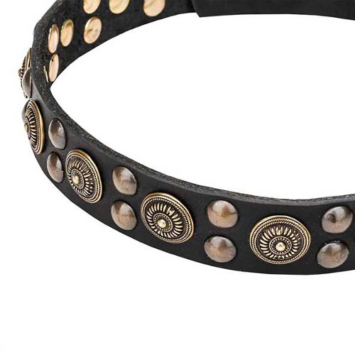 Leather dog collar with reliably set decorations