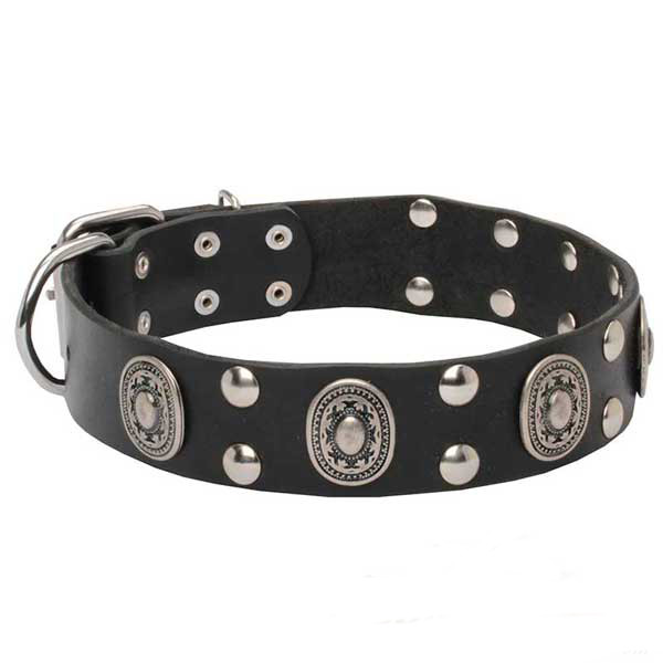 Soft genuine leather dog collar for walking