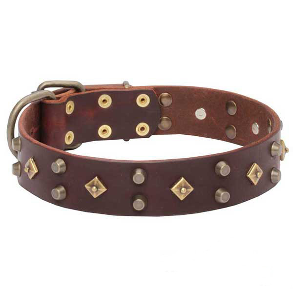 Full grain genuine leather grand walking collar