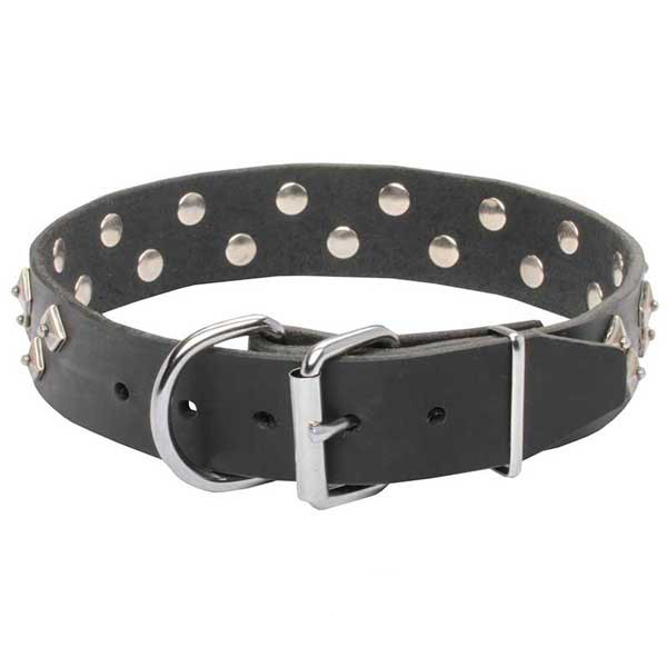 Leather dog collar for walks