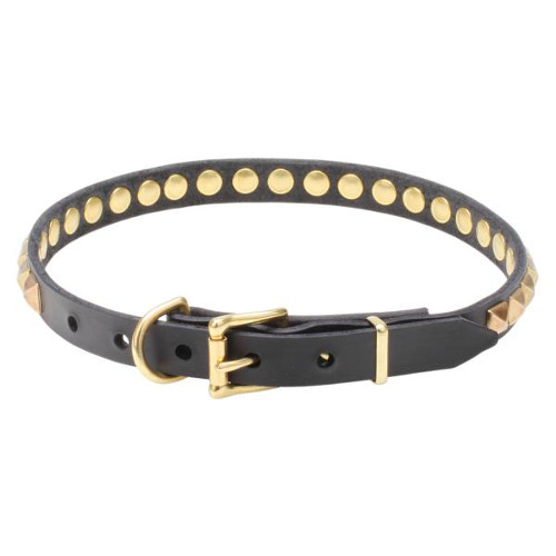 Leather dog collar with brass buckle and D-ring