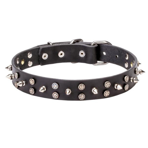 Magnificent strong leather dog collar with securely fixed decorations