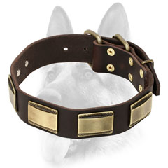 Elegant  leather collar