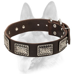 Full grain leather stylish collar