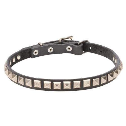 Durable decorated leather dog collar for walking and training