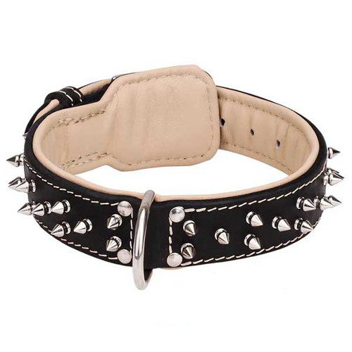 Outstanding leather dog collar