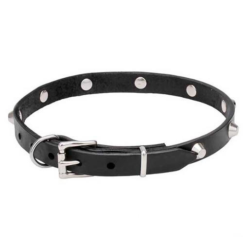Natural leather decorated dog collar