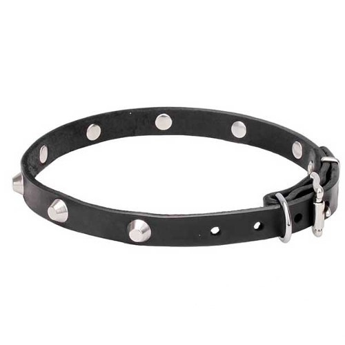 Marvelous collar with chrome plated pyramids