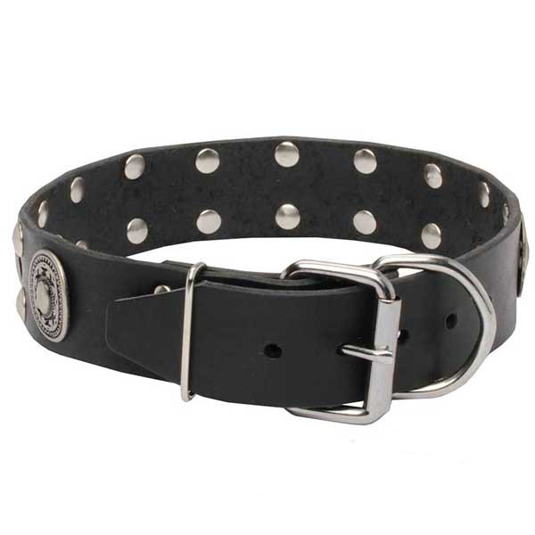 Superior genuine leather dog collar