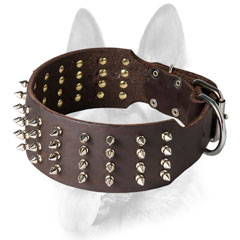 Elegant wide leather Dog collar