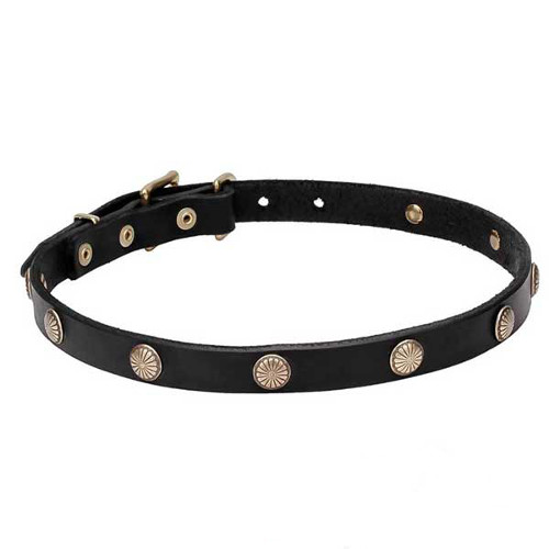 Pure leather walking dog collar