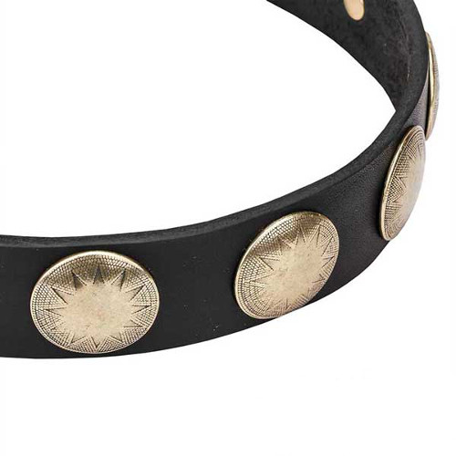 Dog collar with handset circles