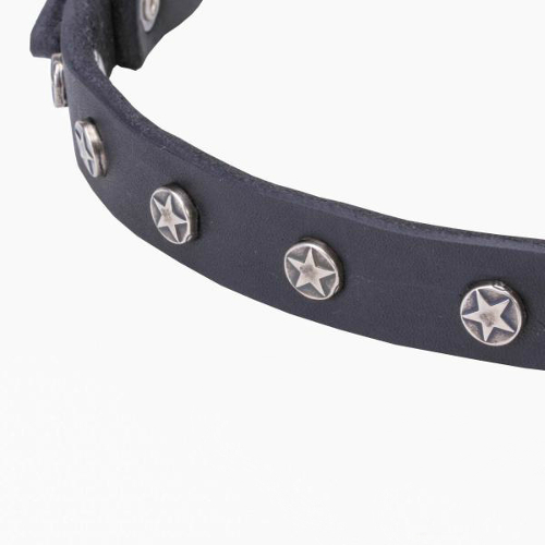 Premium quality leather dog collar with reliably fixed nickel decorations