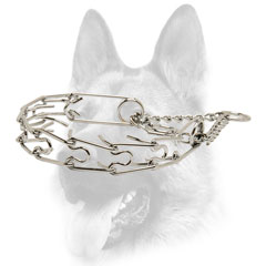 Control tool for misbehaving dogs 