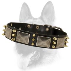 Durable leather dog collar