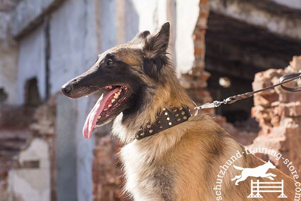 Super wide leather Tervuren collar